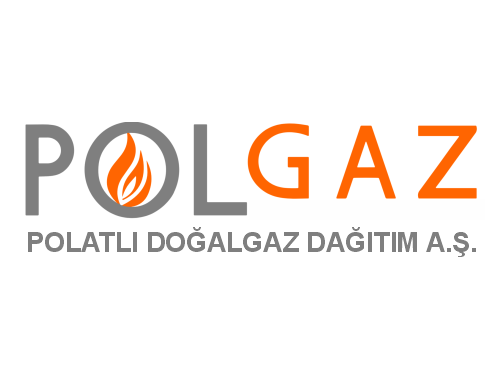 Bilgikoru Veri Kurtarma polartli gaz